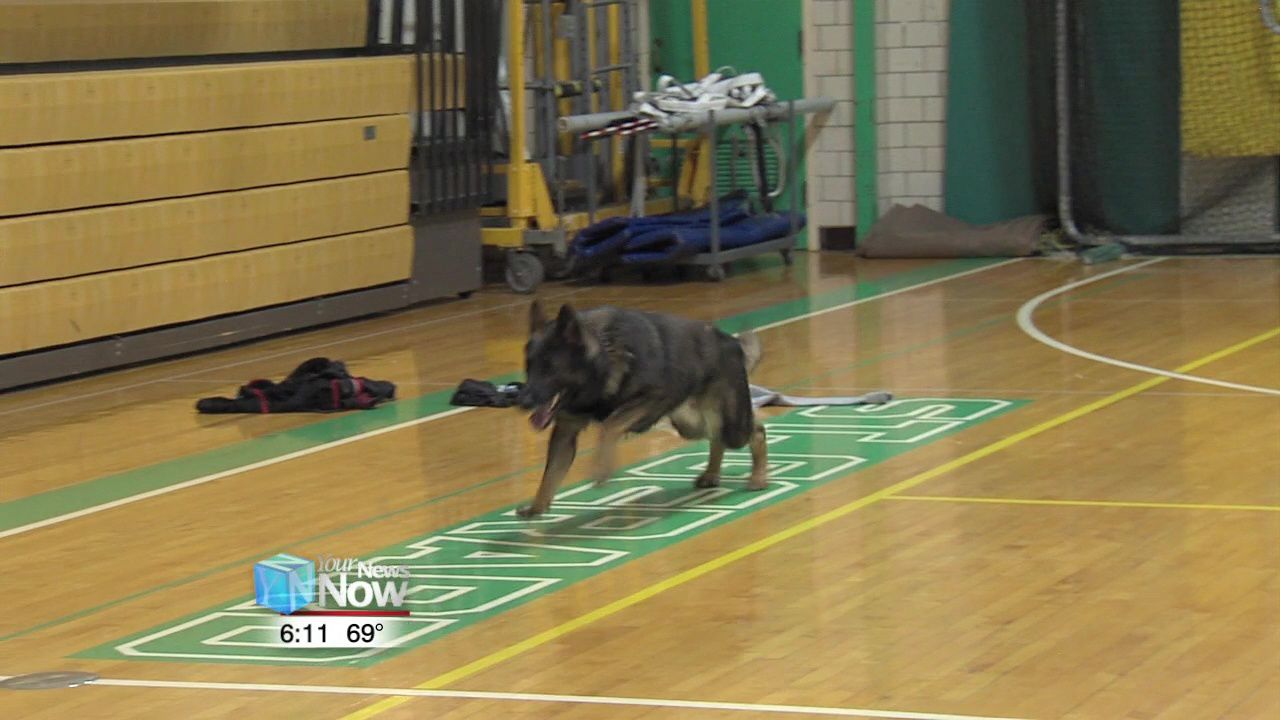 Lima police put on K9 demonstration for Positive Addiction Week 2.jpg